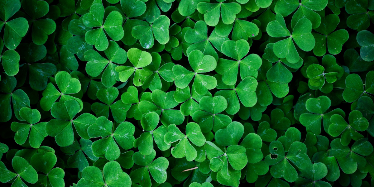 Irland-Flagge